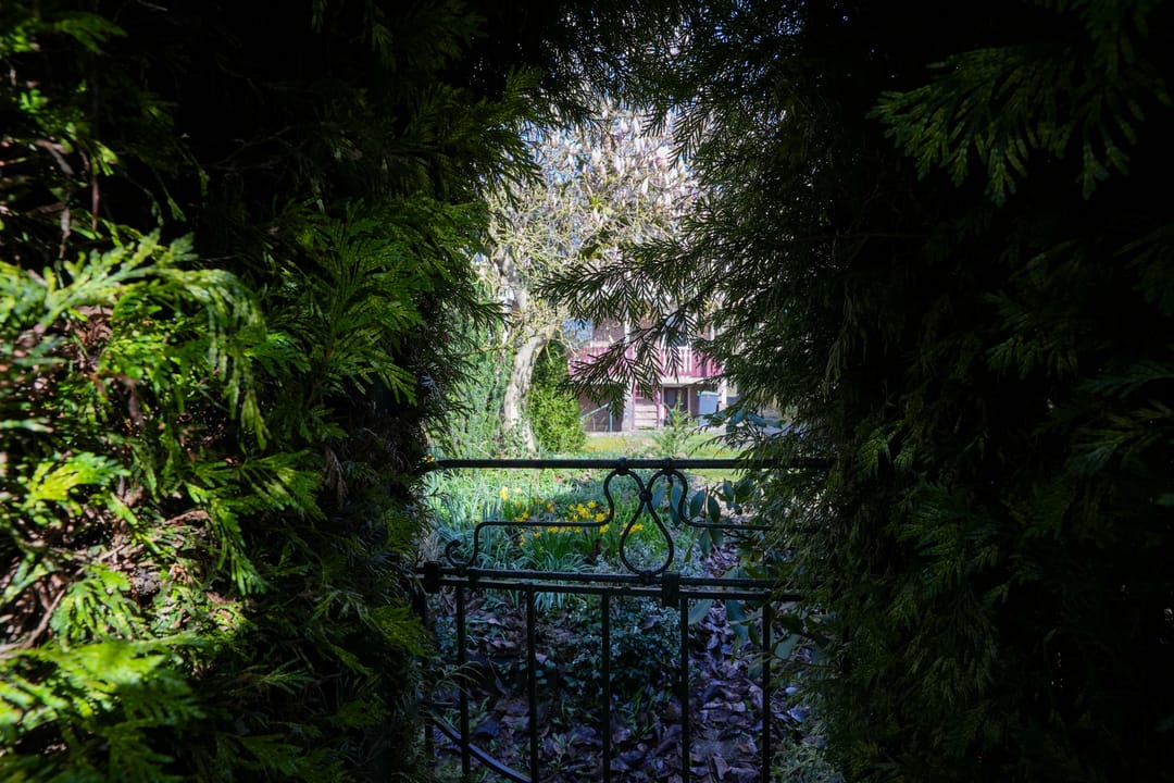 Foto 28 van Mesweg 40