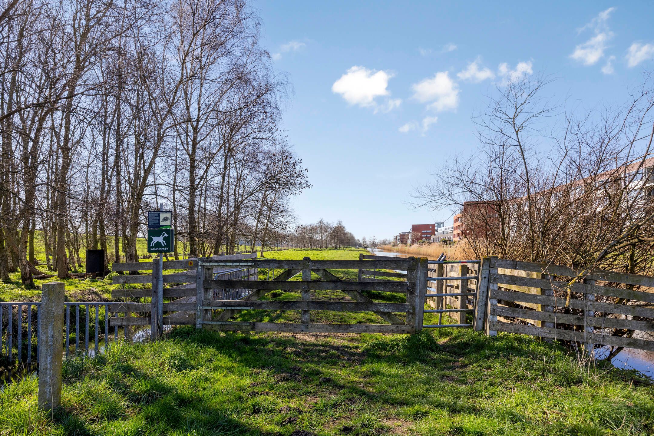 Foto 36 van Polderpeil 482