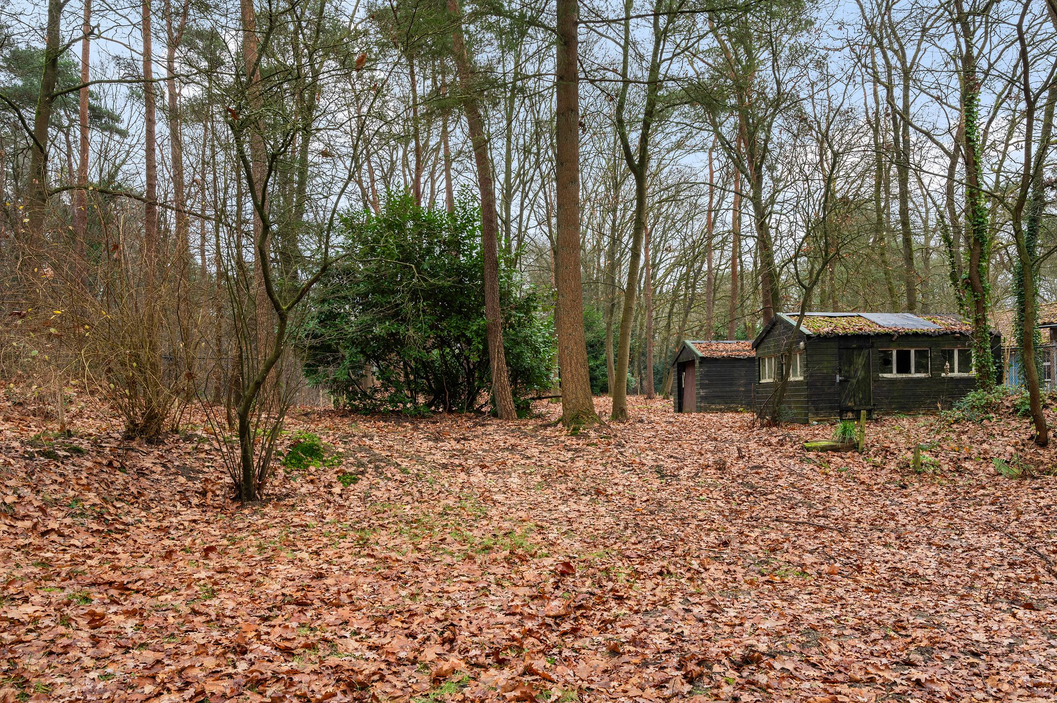 Photo 33 of Kuiltjesweg 45