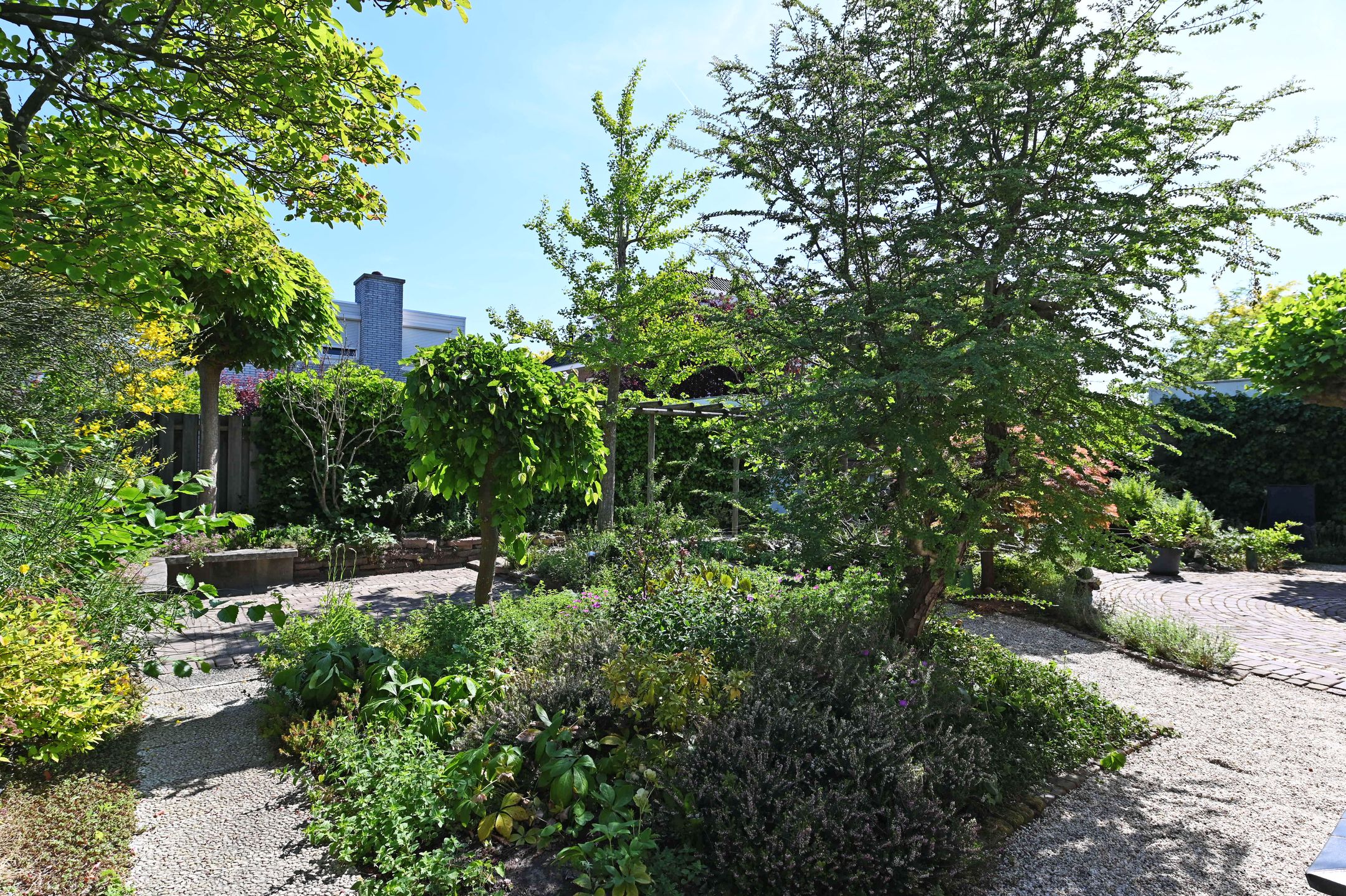 Photo 15 of van Beuningenstraat 21