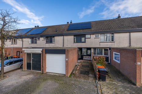 undefined main image