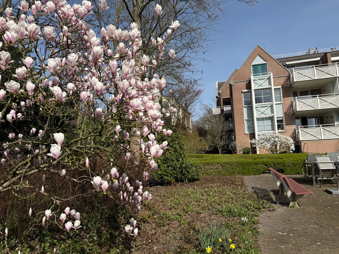 Foto 23 van Generaal Foulkesweg 38-A