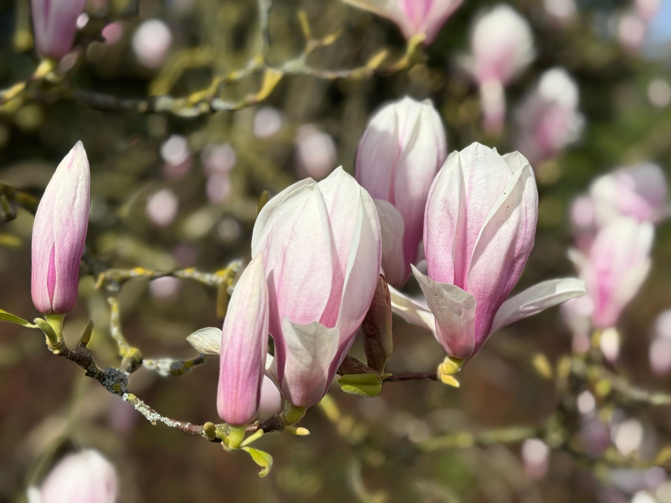 Foto 24 van Generaal Foulkesweg 38-A