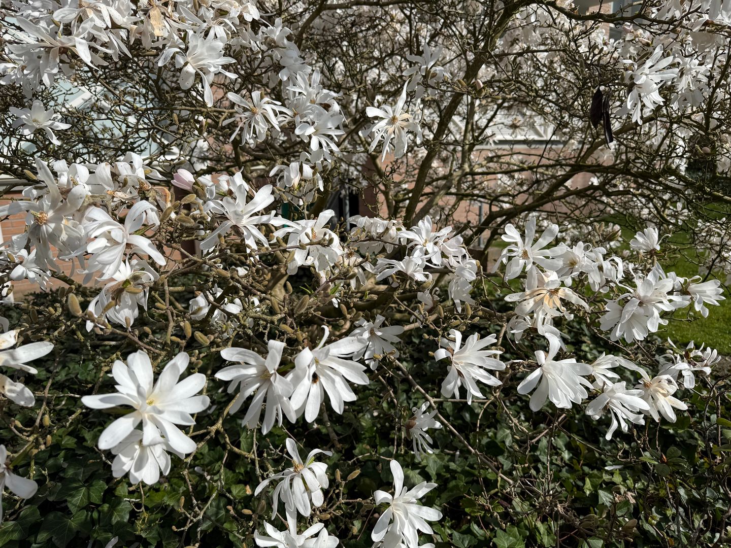 Foto 25 van Generaal Foulkesweg 38-A