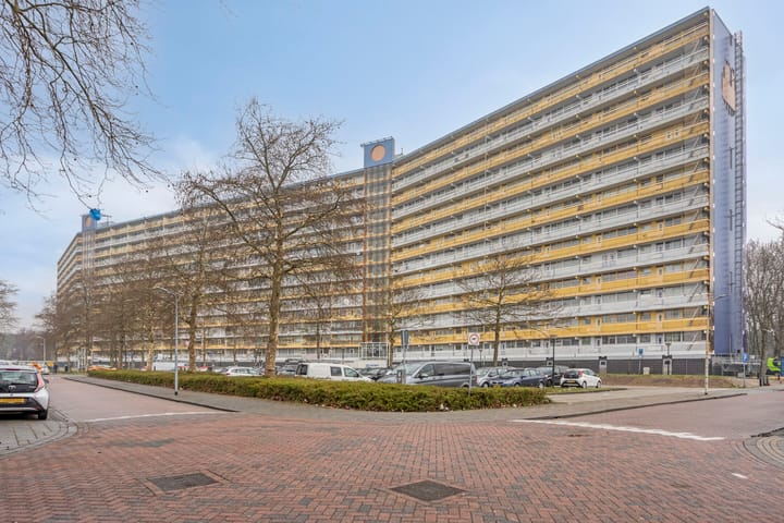 Foto 3 van Pharus 355