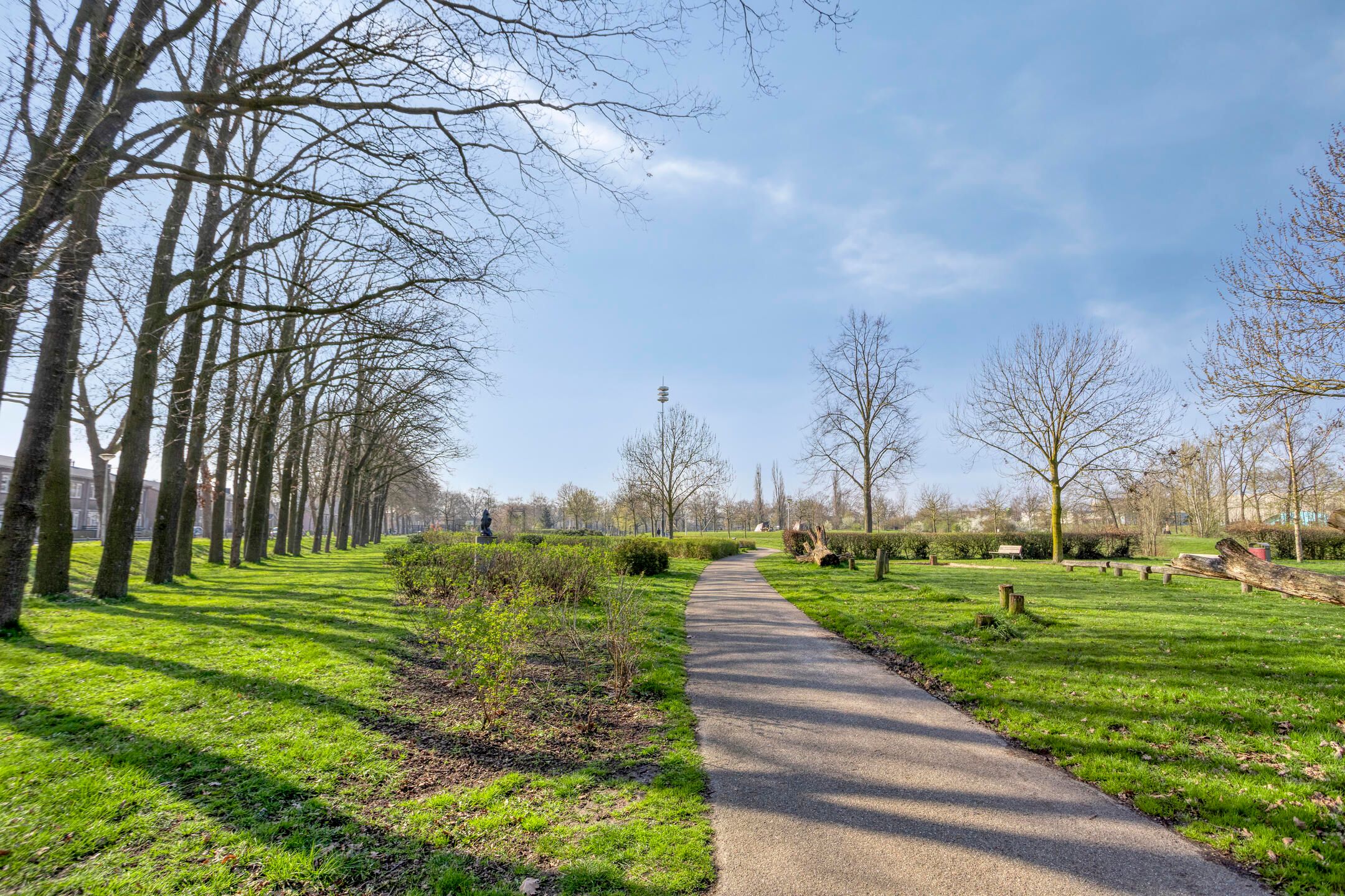 Licht appartement met avondzon en uitzicht op de Waalbrug — 34