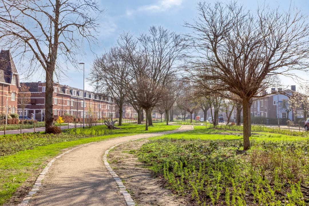 Licht appartement met avondzon en uitzicht op de Waalbrug — 40