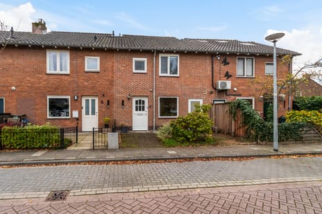 undefined main image