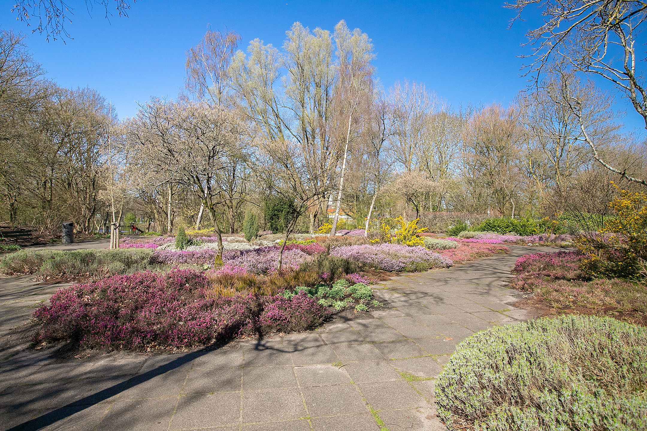 Foto 27 van Jisperveldstraat 140