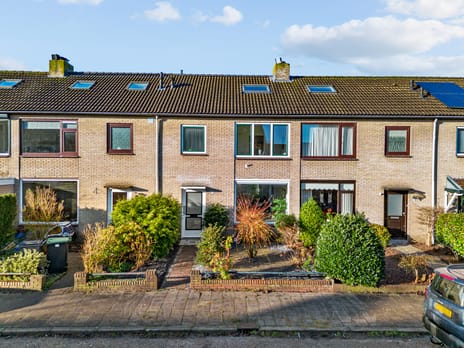 undefined main image