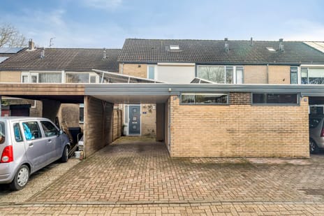 undefined main image