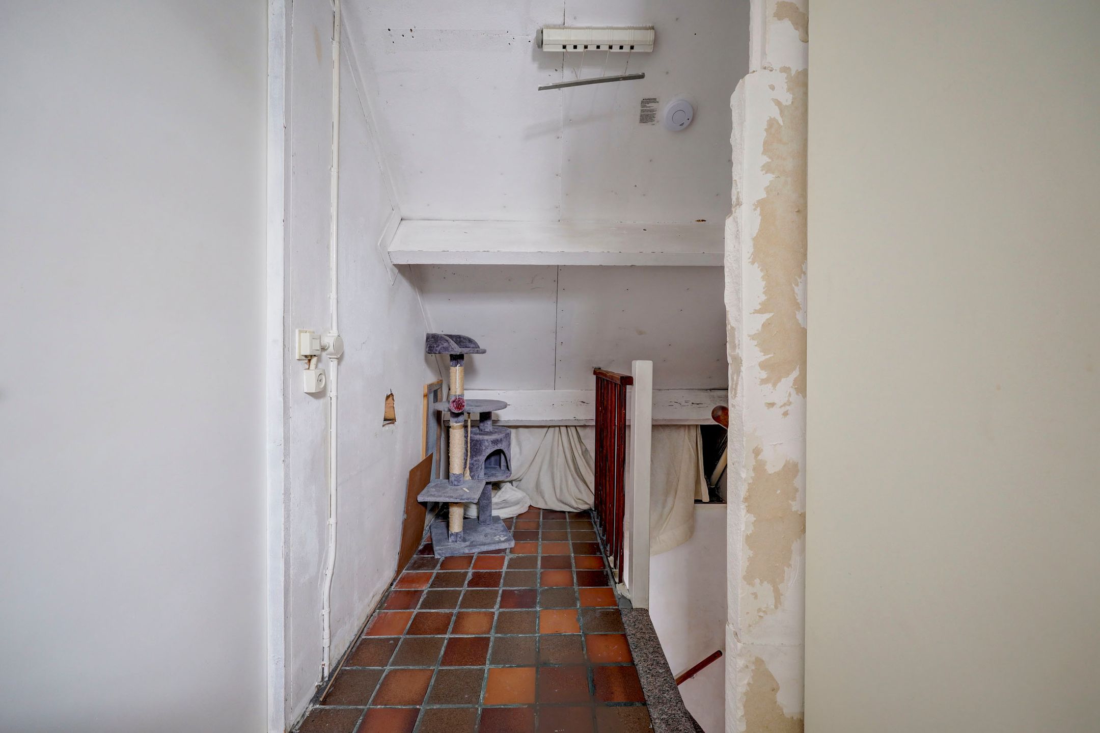 Foto 27 van Avocadogaard 11