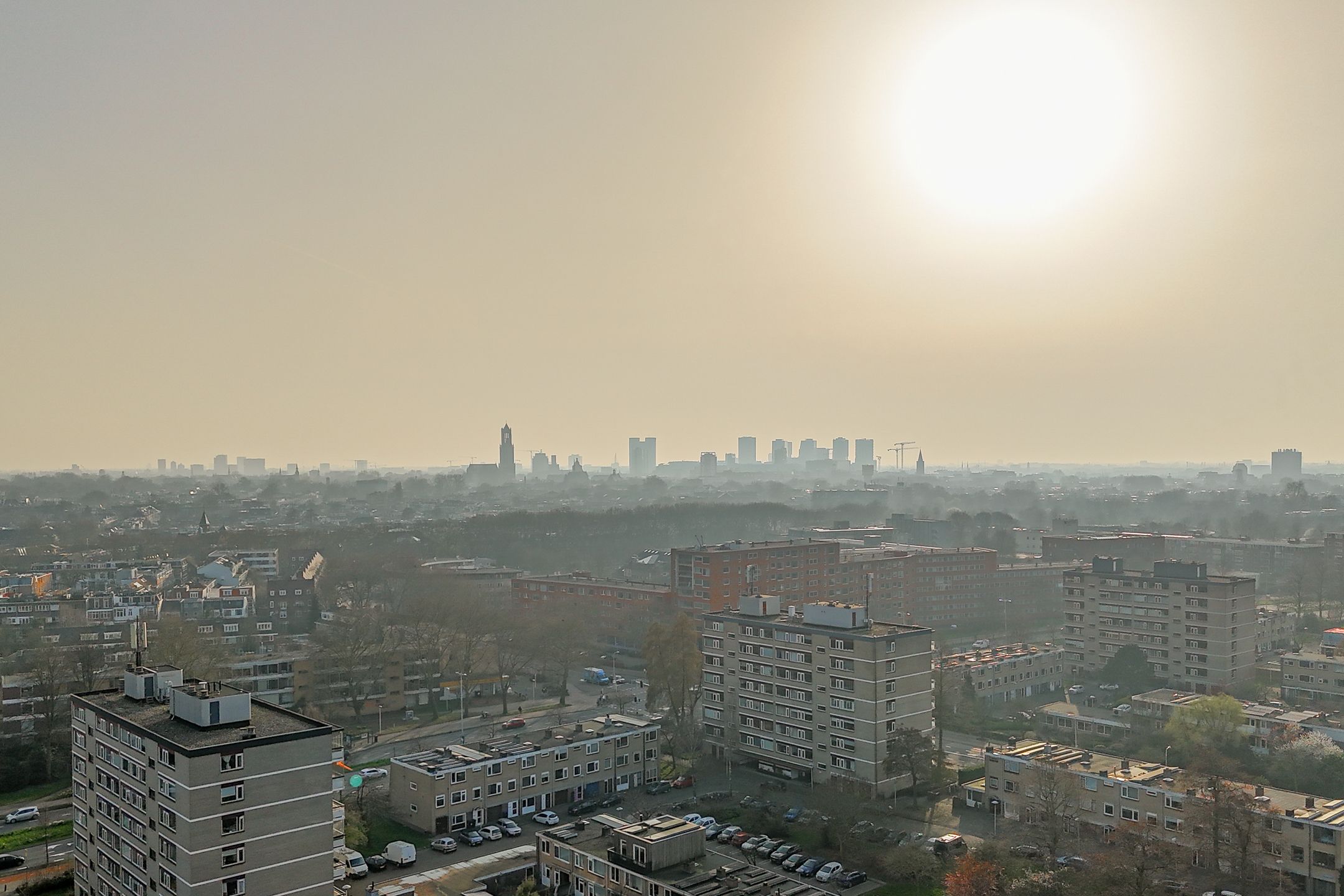 Photo 39 of Fruinplantsoen 80