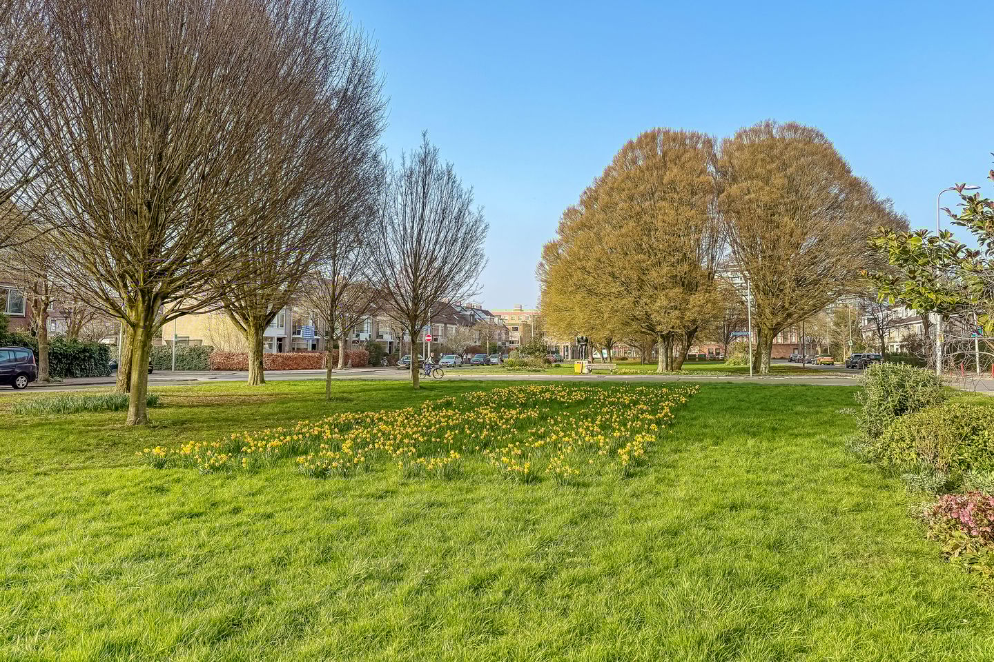 Photo 40 of Fruinplantsoen 80