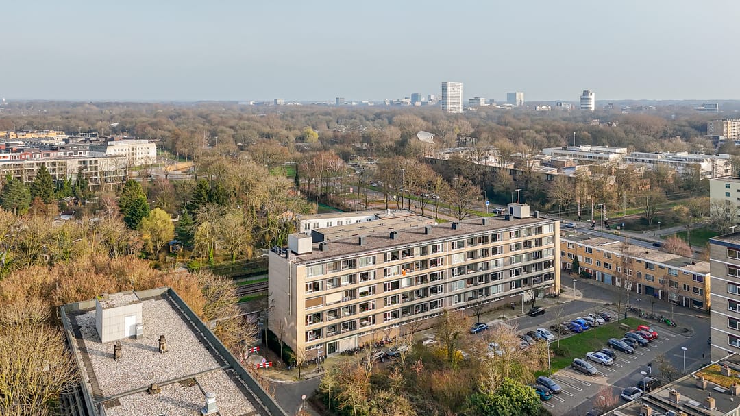 Photo 41 of Fruinplantsoen 80