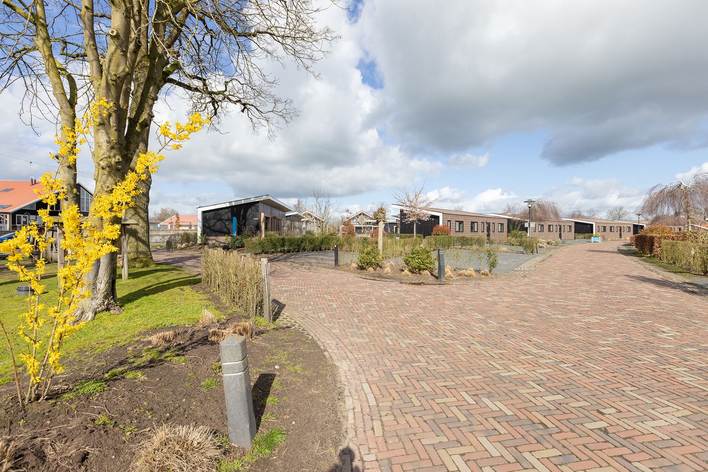 Foto 25 van Boschlaan 26-50