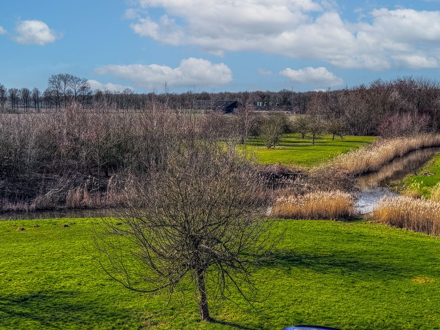 Photo 29 of de Flier 3941