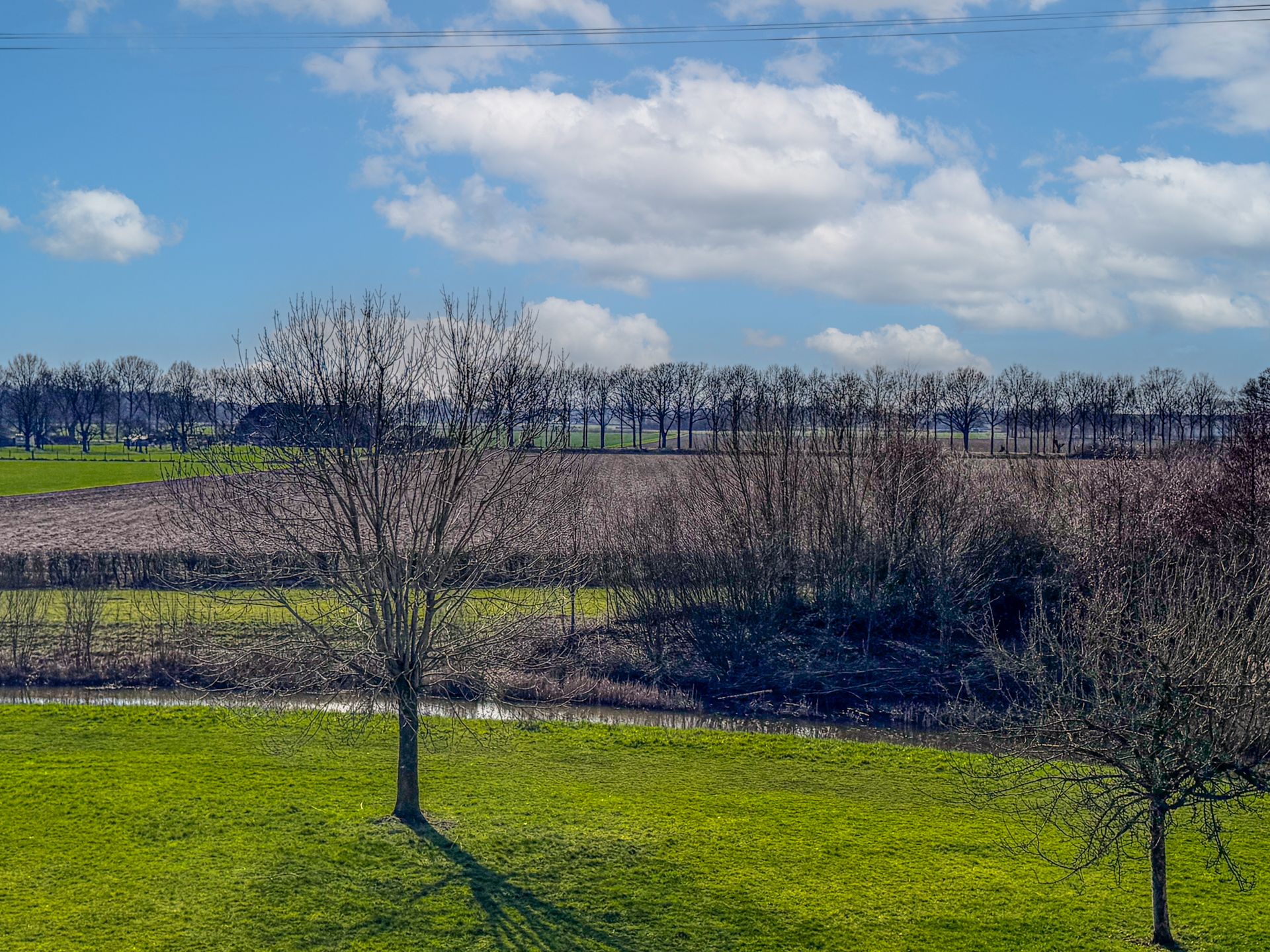 Photo 30 of de Flier 3941