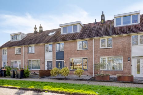 Nachtegaal thumbnail