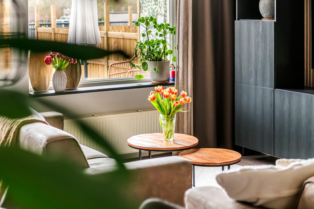 Photo 7 of Kamperfoelie 30