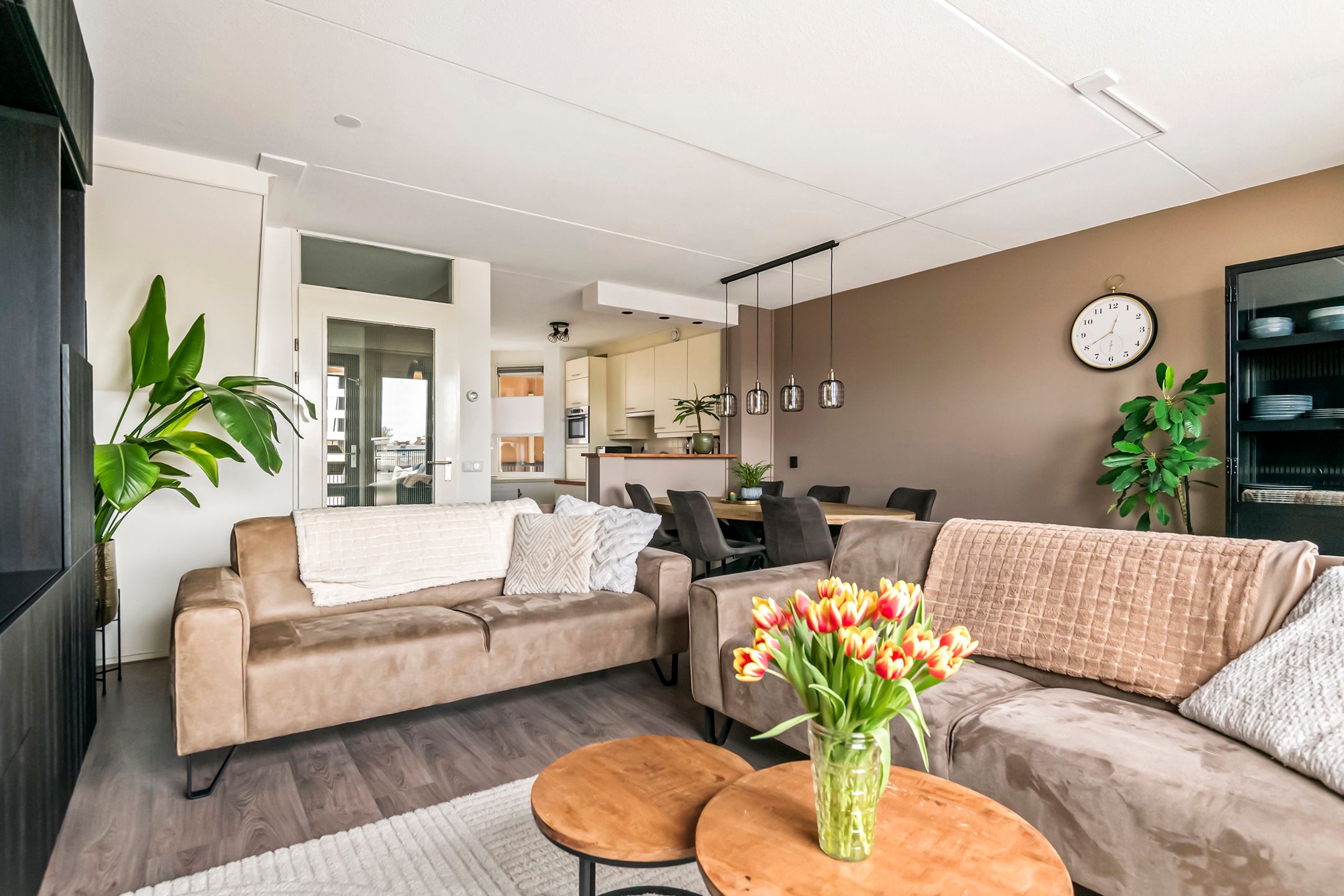 Photo 9 of Kamperfoelie 30