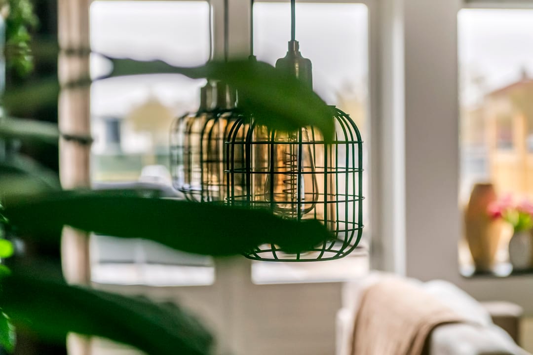 Photo 13 of Kamperfoelie 30