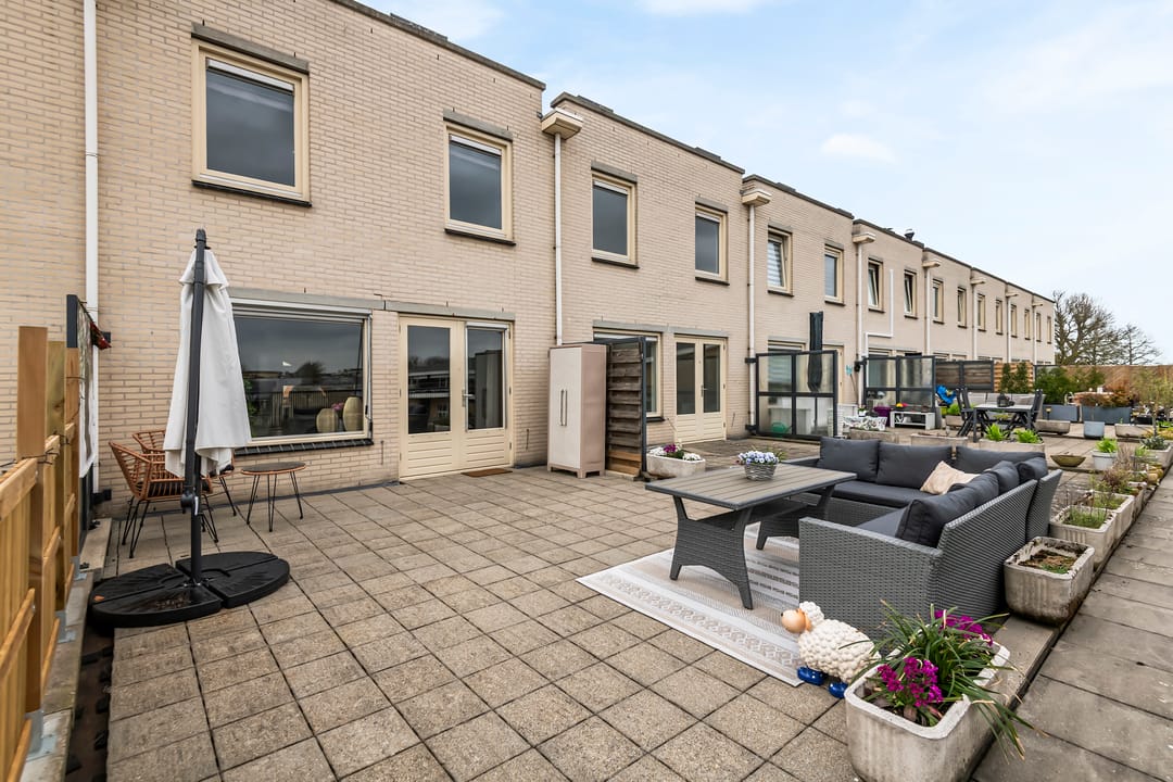 Photo 38 of Kamperfoelie 30