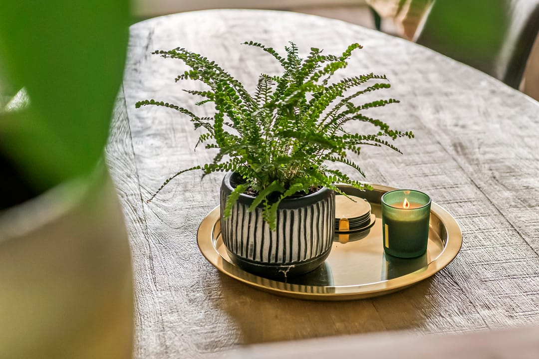 Photo 16 of Kamperfoelie 30