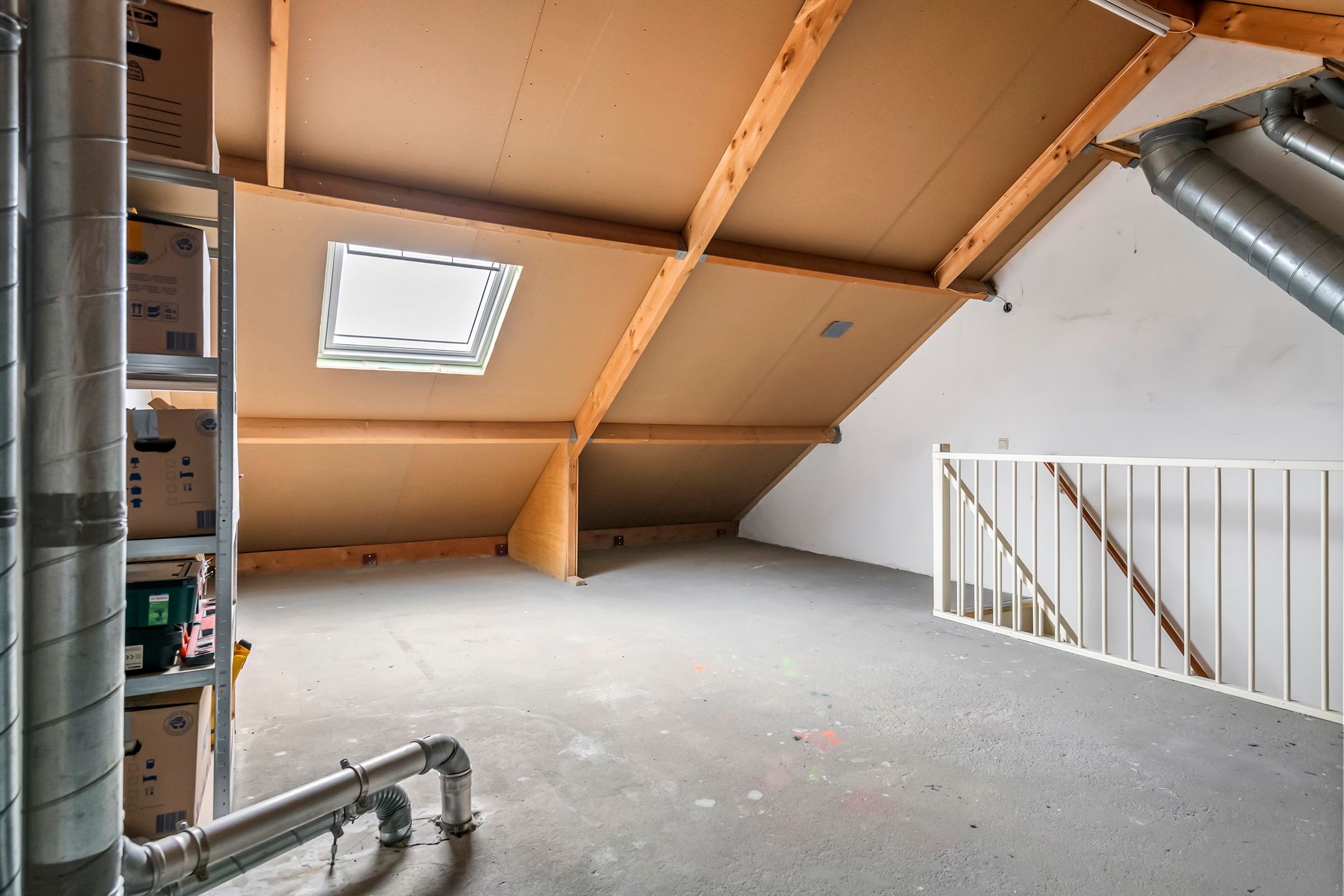 Photo 33 of Kamperfoelie 30