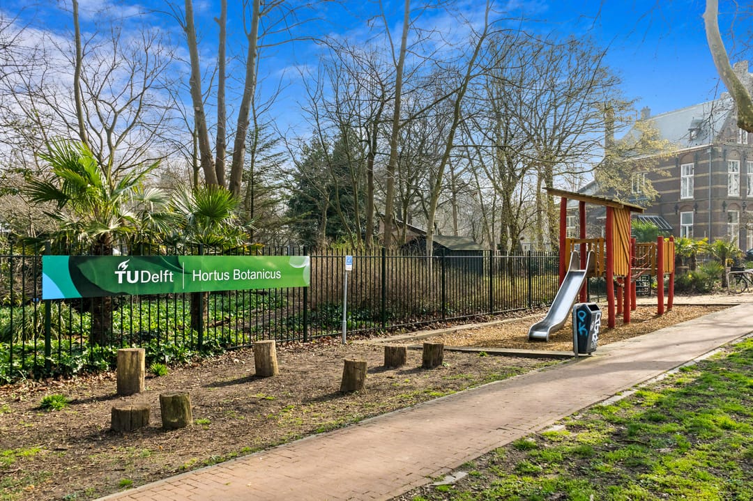 Photo 38 of Prins Mauritsstraat 17