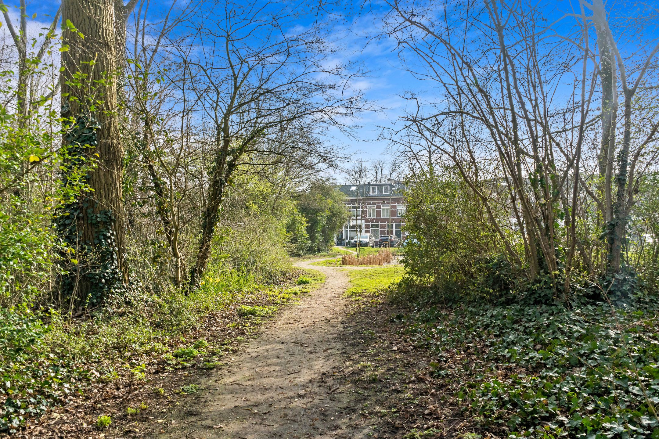 Photo 42 of Prins Mauritsstraat 17