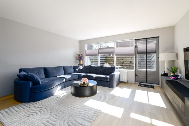 Photo 2 of Populier 3