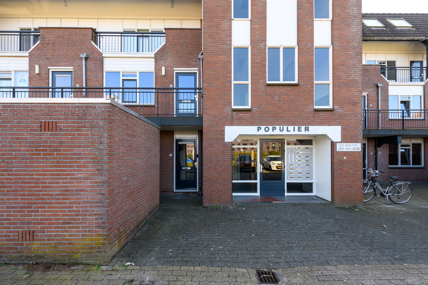 Foto 25 van Populier 3