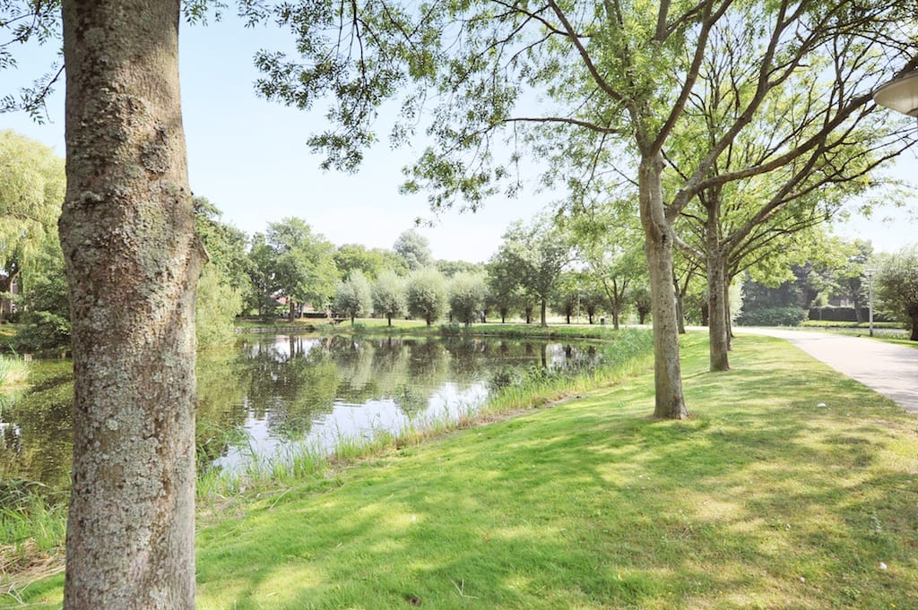 Foto 24 van Rossinilaan 335