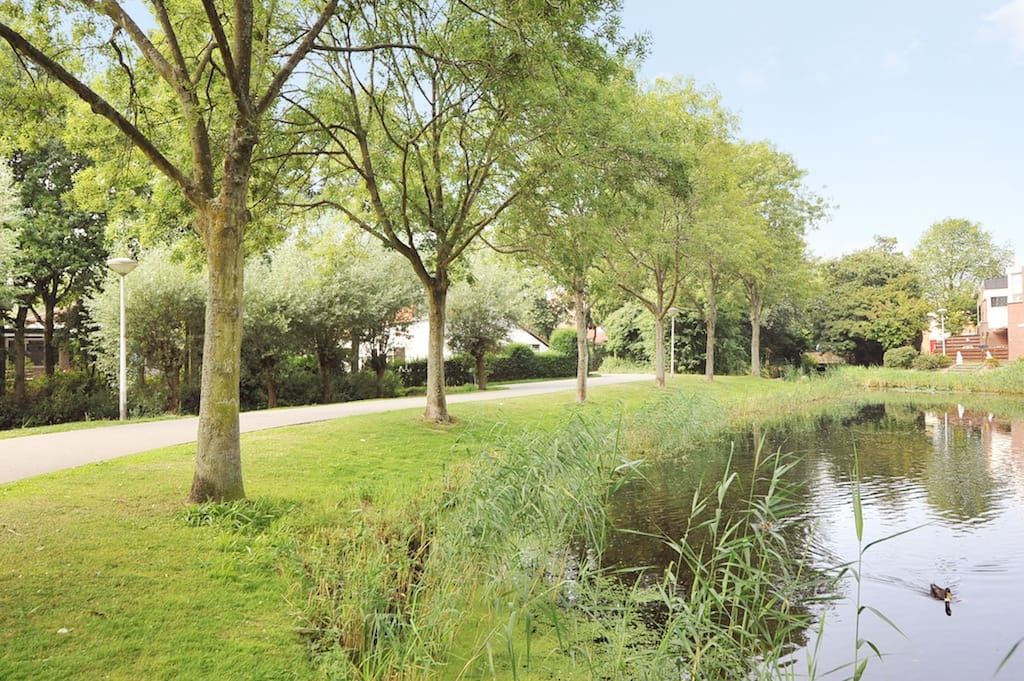 Foto 25 van Rossinilaan 335