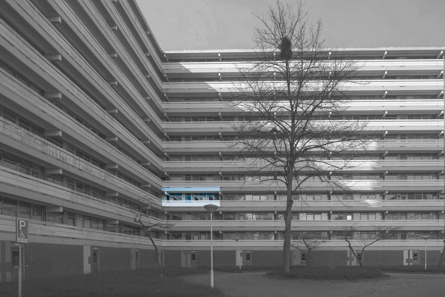 Photo 5 of Belvédèrebos 151