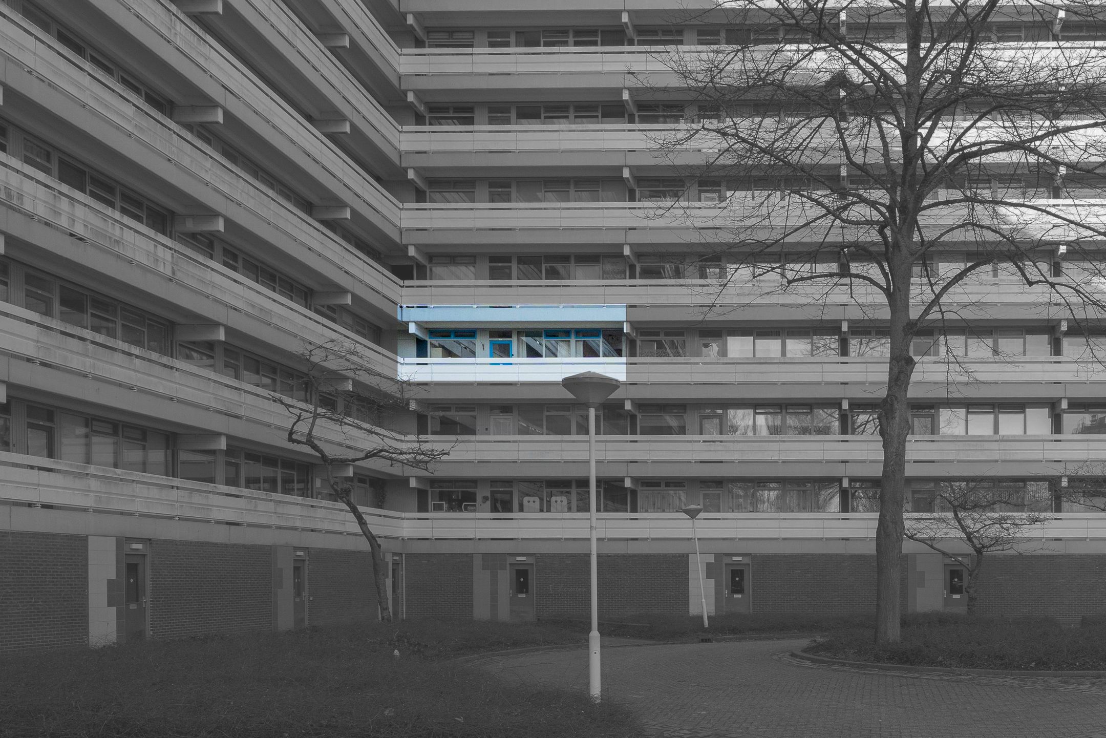 Photo 6 of Belvédèrebos 151
