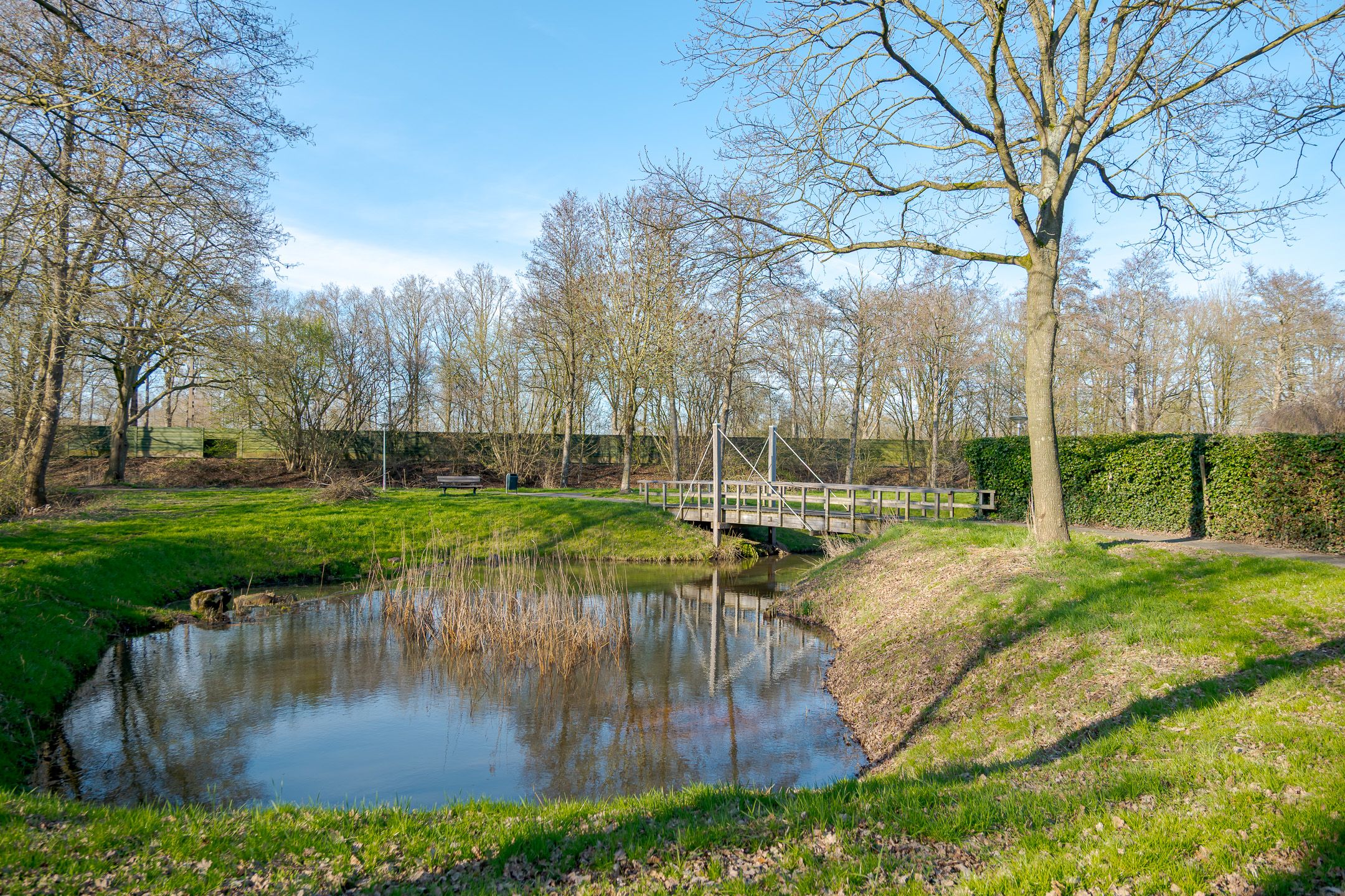 Foto 54 van Koninginnepage 24