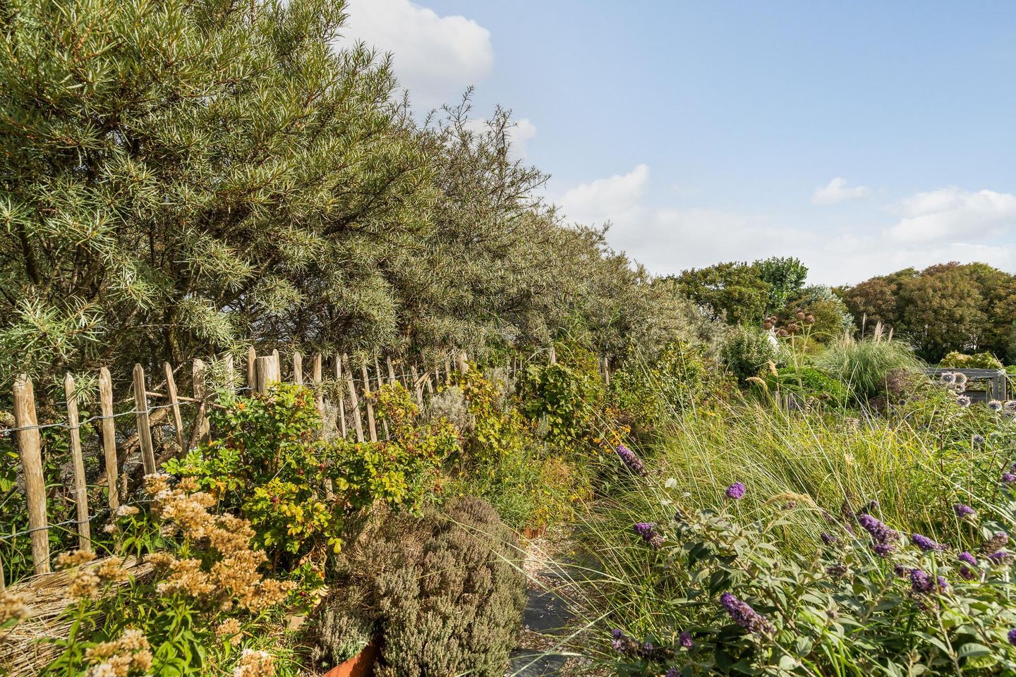 Photo 55 of Santhorsthof 54