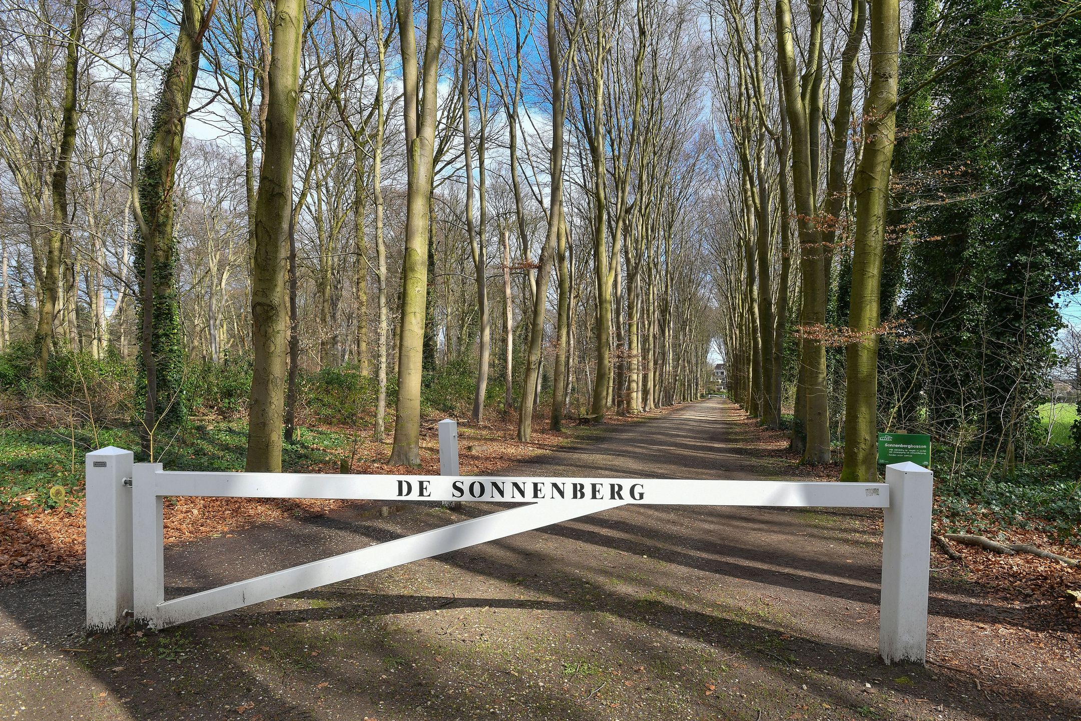 Foto 42 van De Vrijburg 18