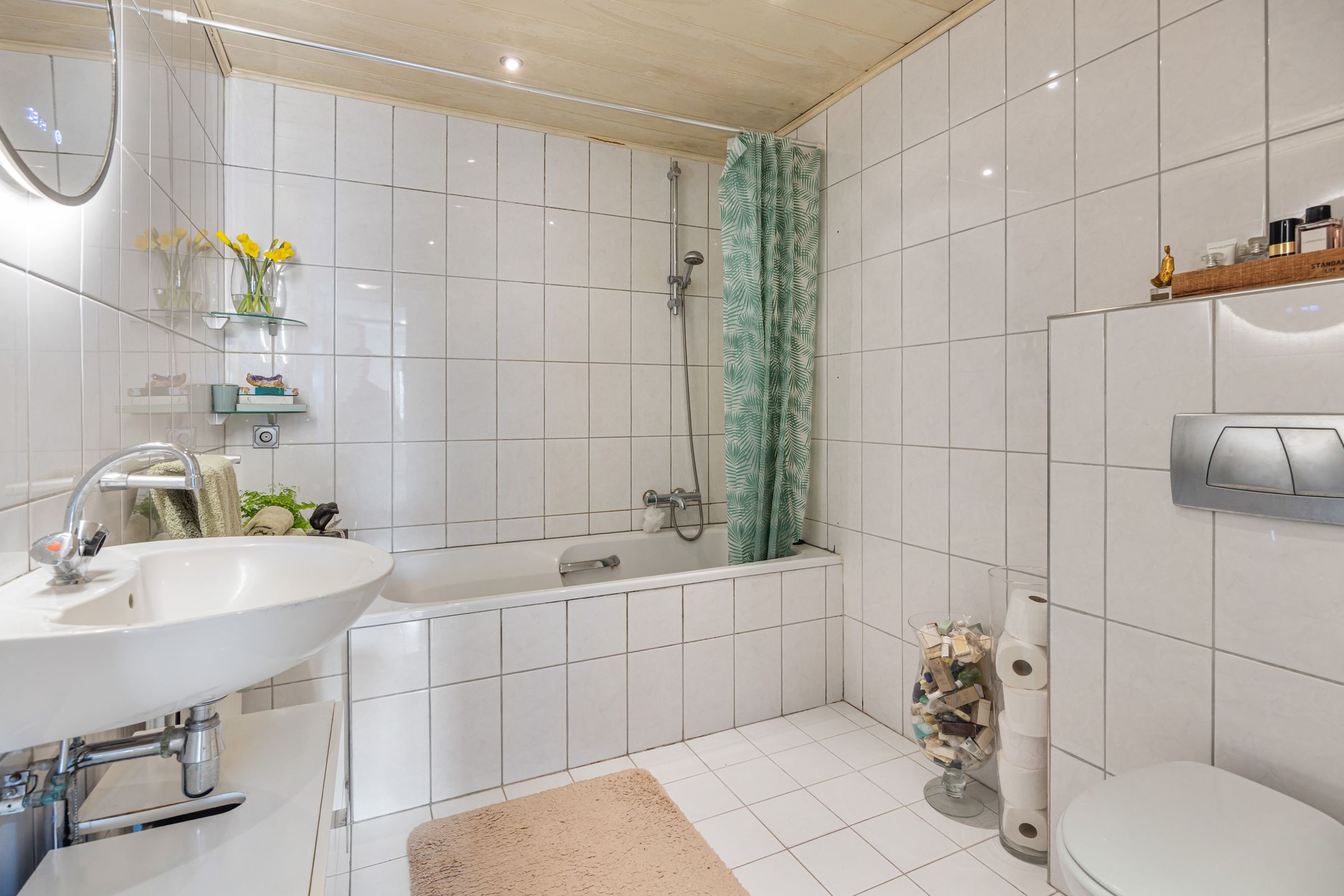 Photo 18 of Weegbree 31