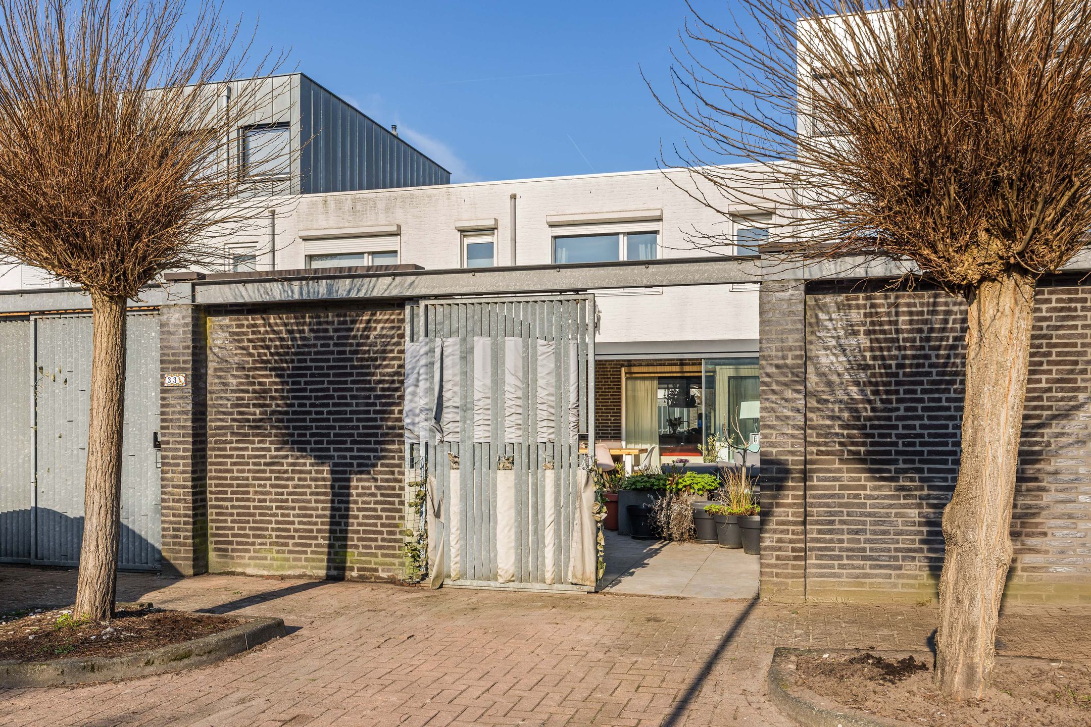 Photo 24 of Weegbree 31