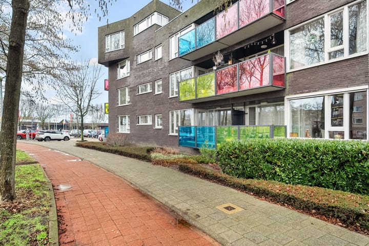 Foto 2 van Drooghe Bol 2010