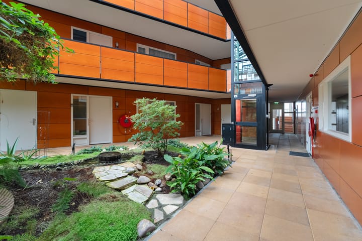 Foto 4 van Drooghe Bol 2010