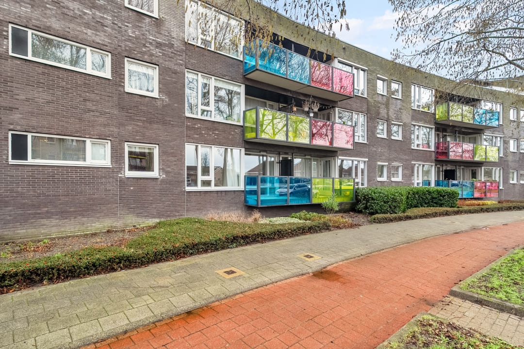 Foto 22 van Drooghe Bol 2010