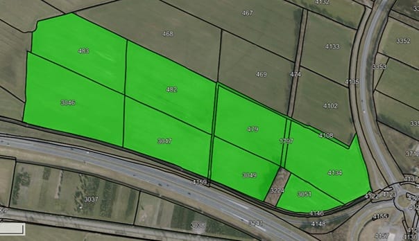 stinswei - Garyp - Afbeelding 1
