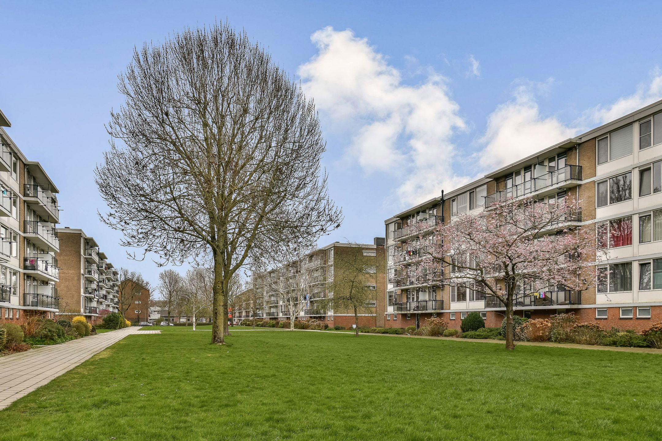 Foto 18 van Henri Polakstraat 50