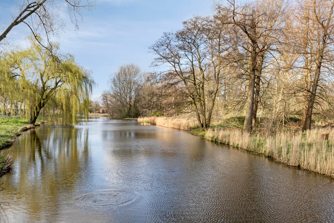 Foto 43 van Schaarsven 6