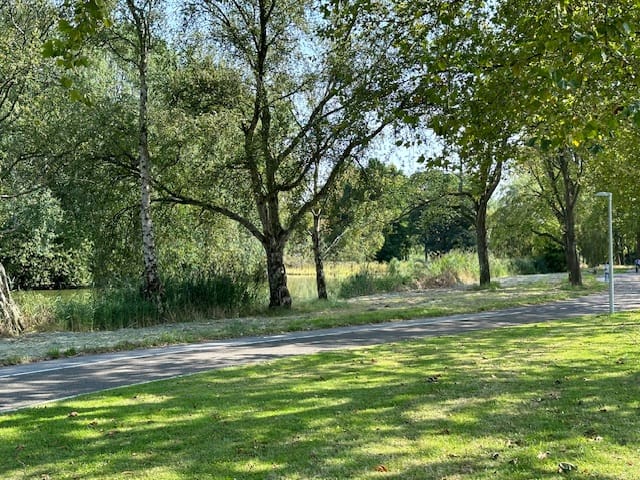 Foto 44 van Schaarsven 6