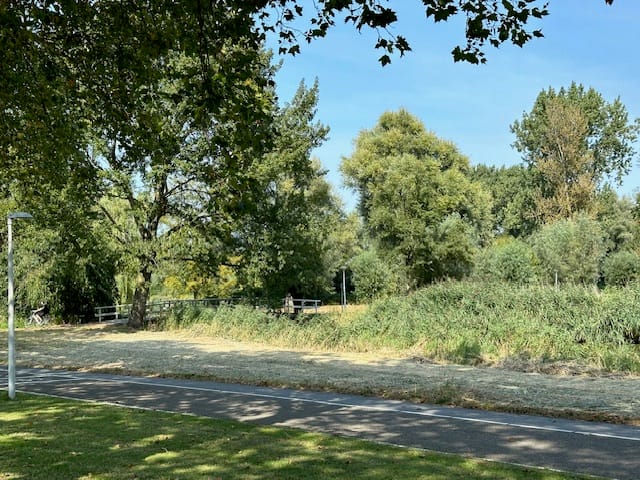 Foto 45 van Schaarsven 6